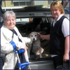 Northern Suburbs Medical Service Launceston Tasmania